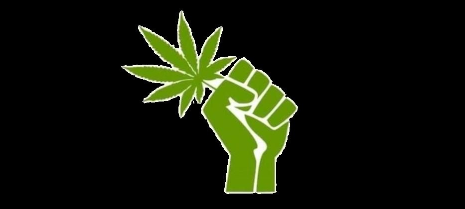 Farm2fire logo