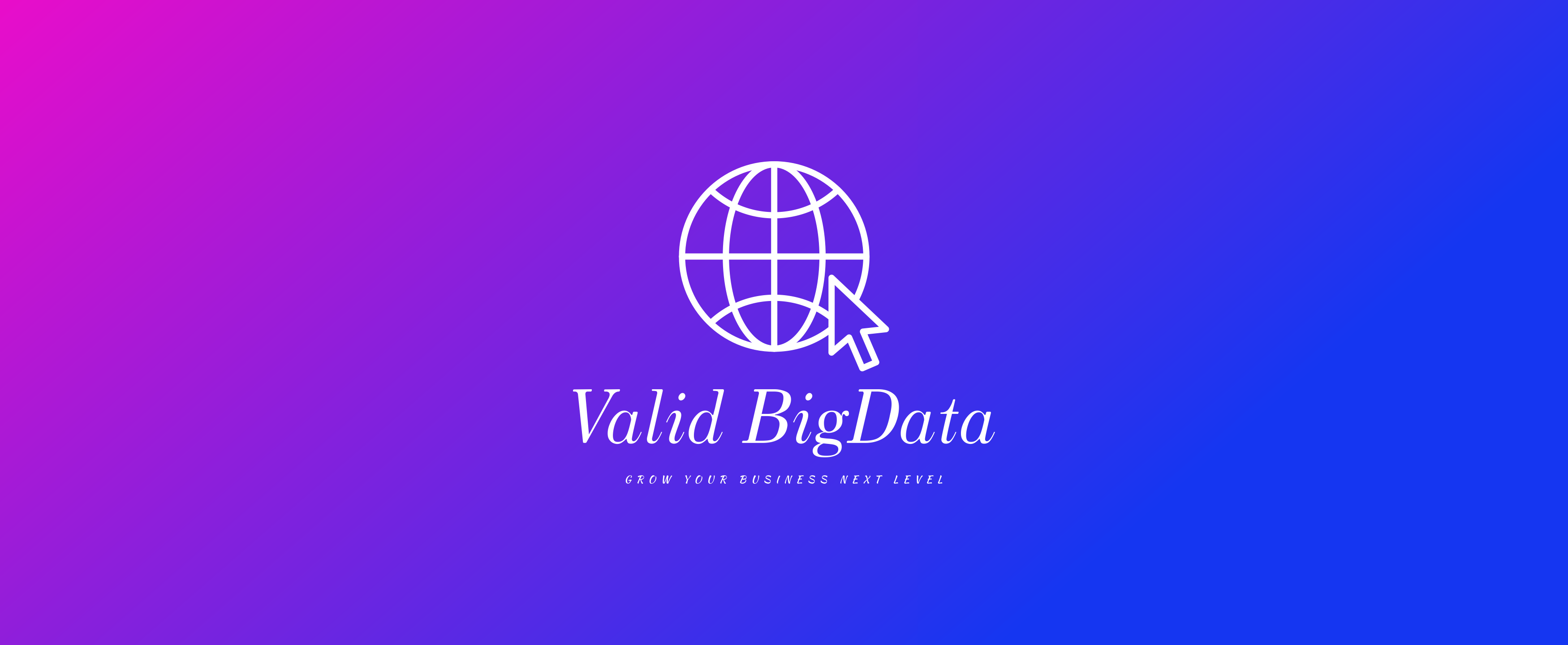 Valid Big Database logo