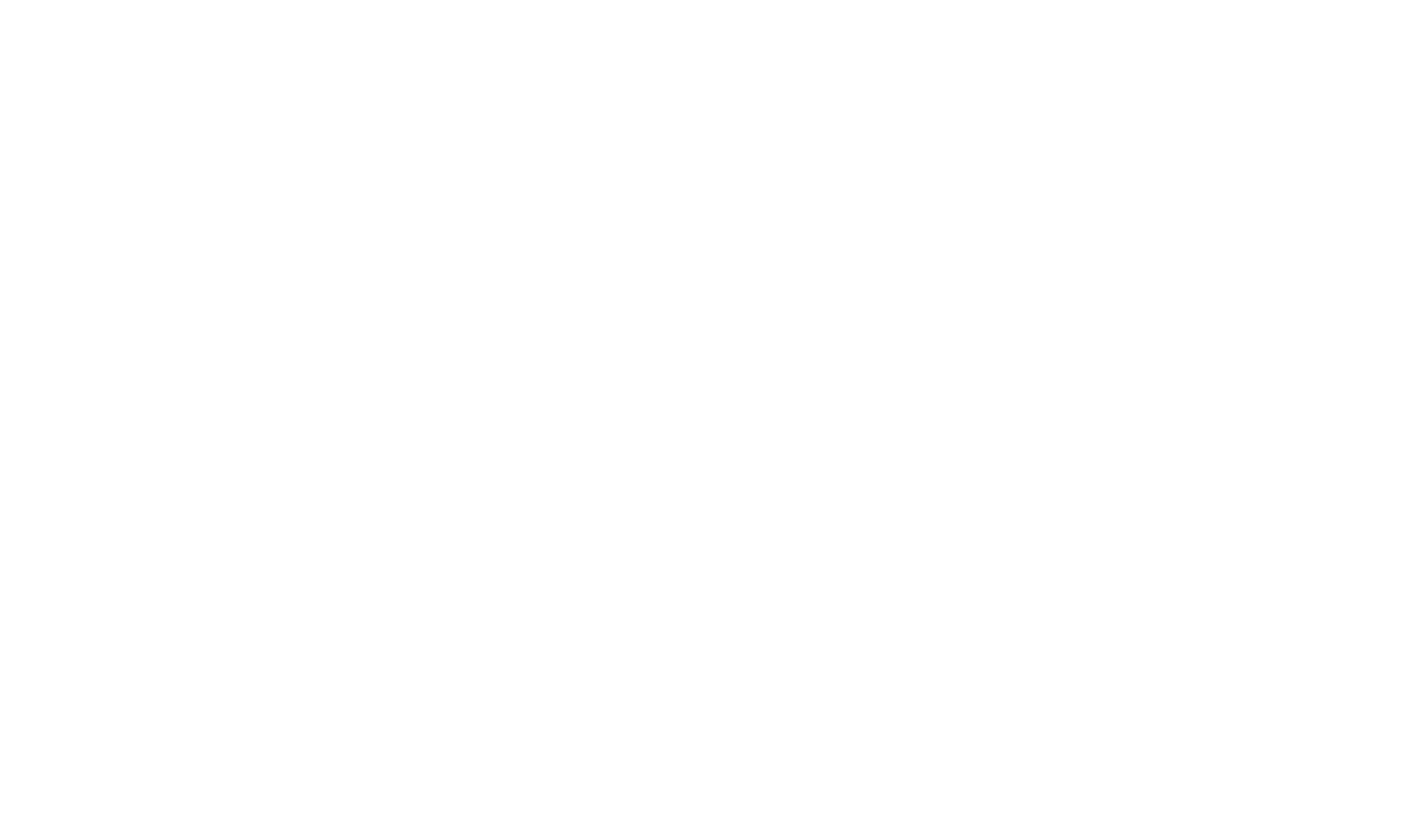 PetStrap logo
