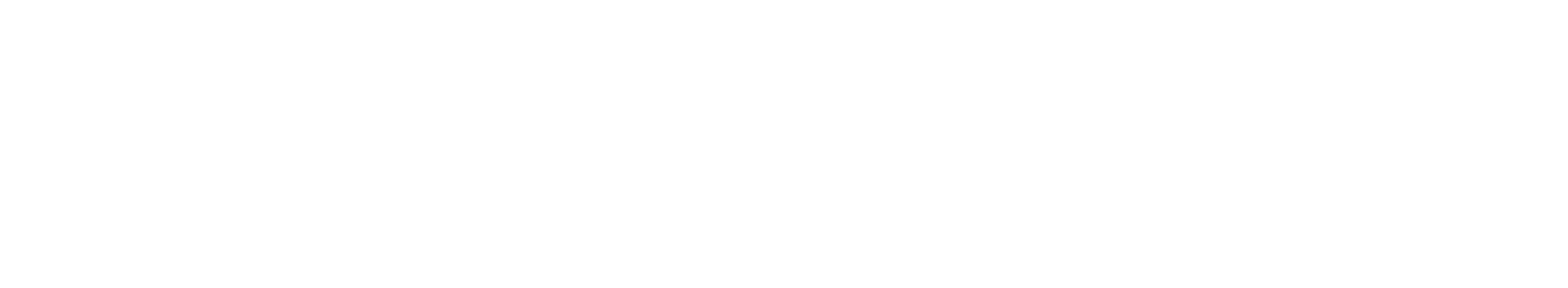Vaporesso Store logo