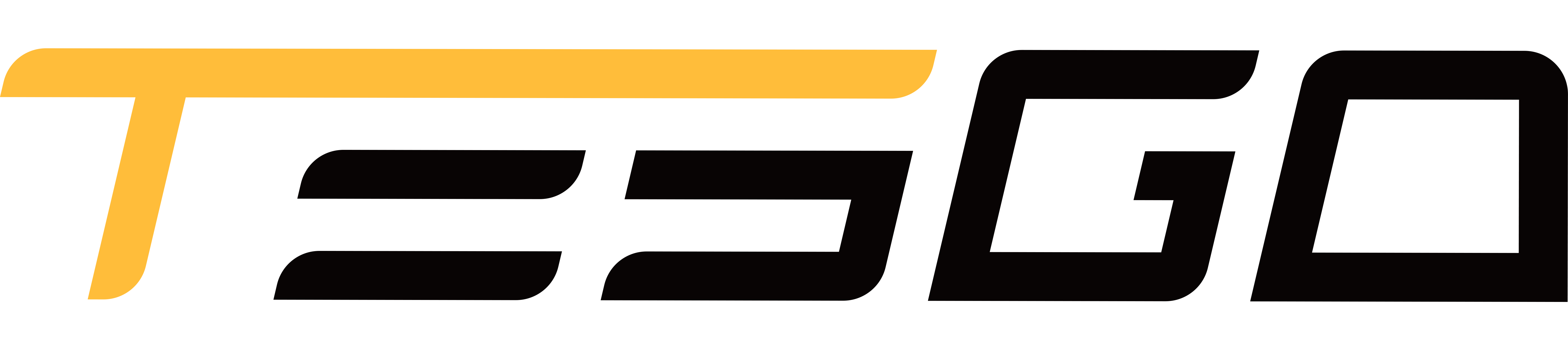 TESGO US logo