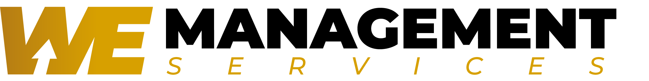 We Management Services logo