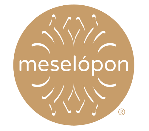 Meselopon Ltd logo