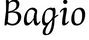 Bagio logo