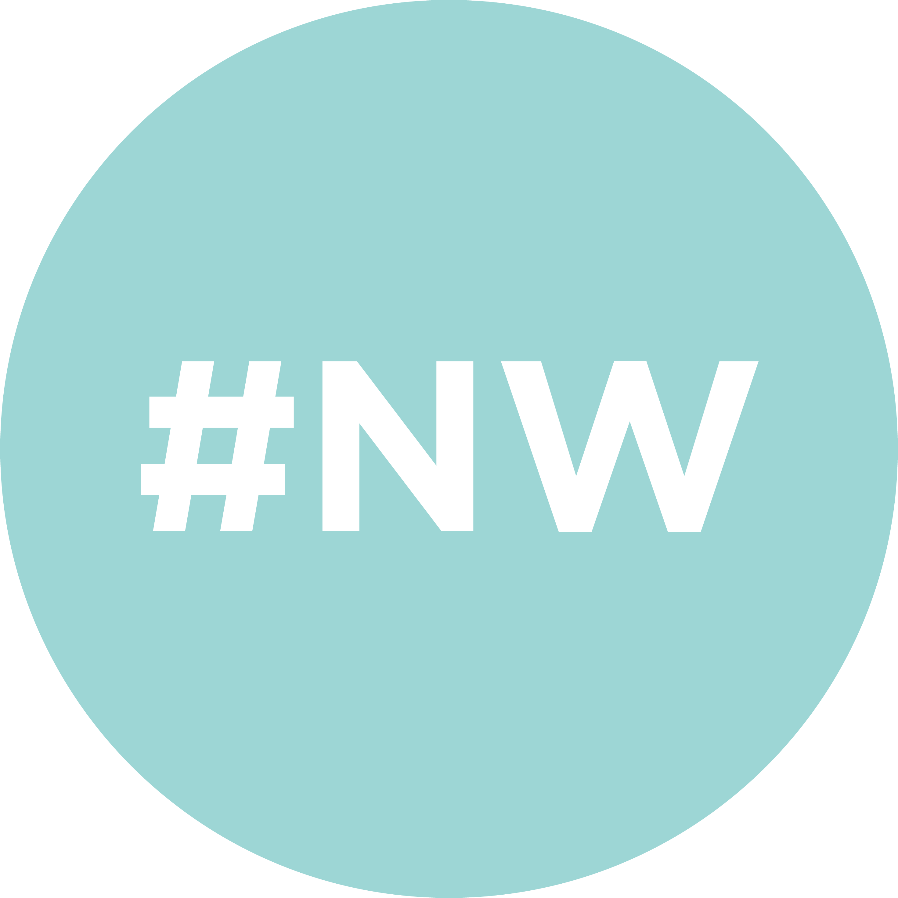 NoWorries Lab logo