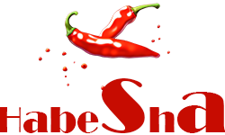 habesha online store logo