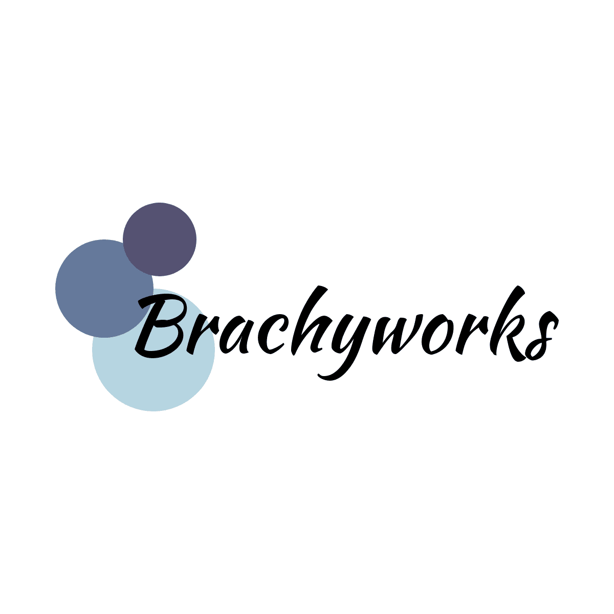 Brachyworks logo