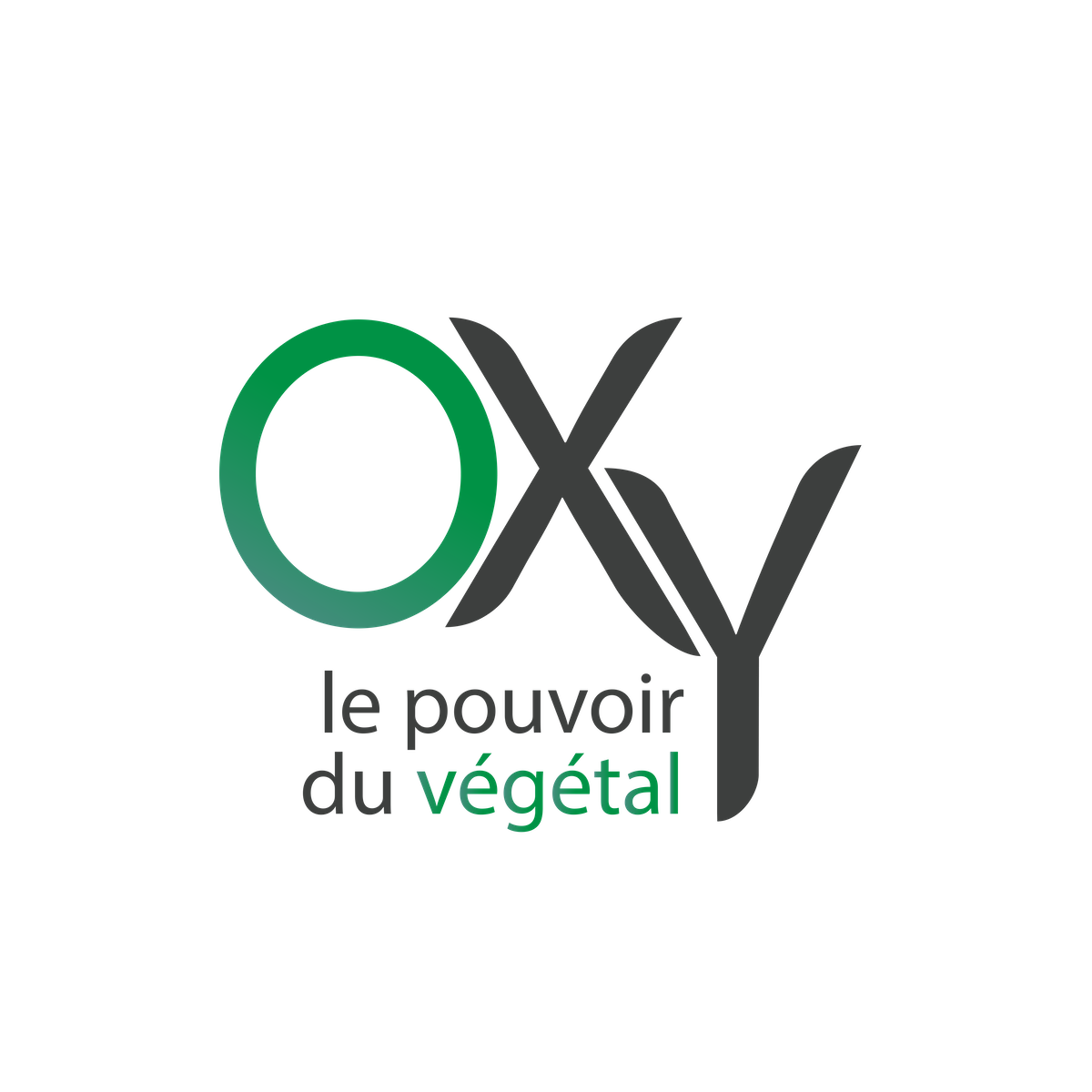 OXy logo