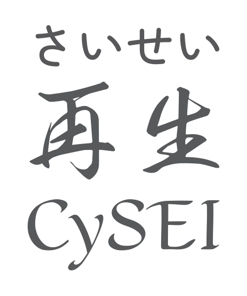 CySEI logo