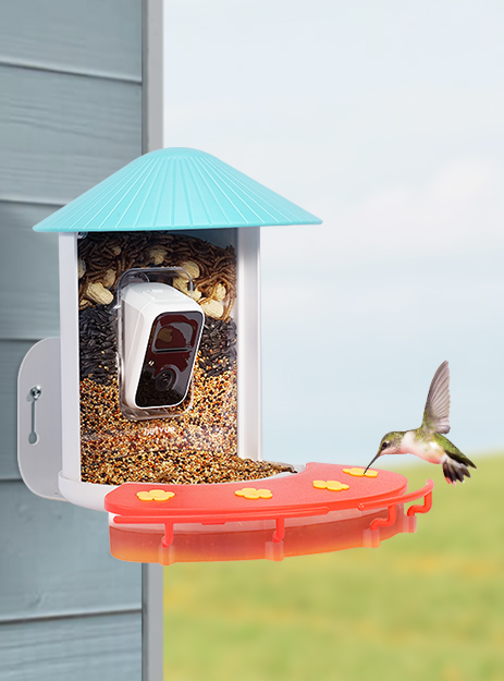 Attract more hummingbirds to your backyard with the Birdfy Feeder and Hummee Set. Experience the joy of birdwatching like never before.