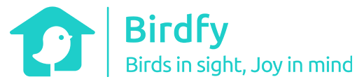 Birdfy