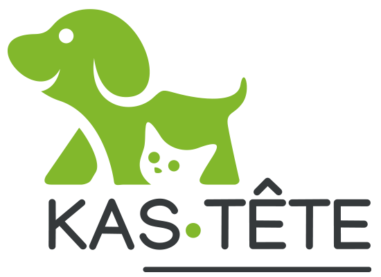 Kas Tête logo