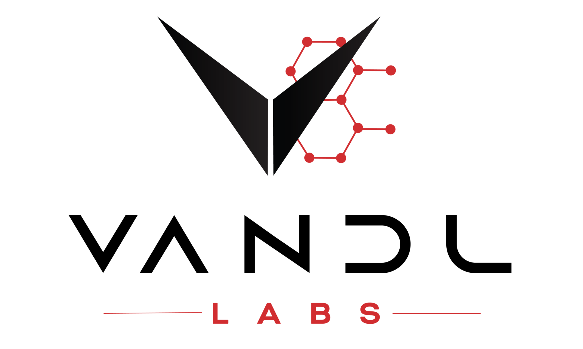 VANDL Labs logo