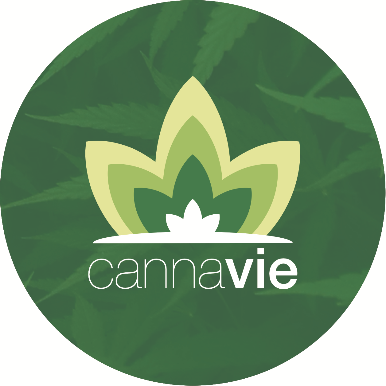 Cannavie logo