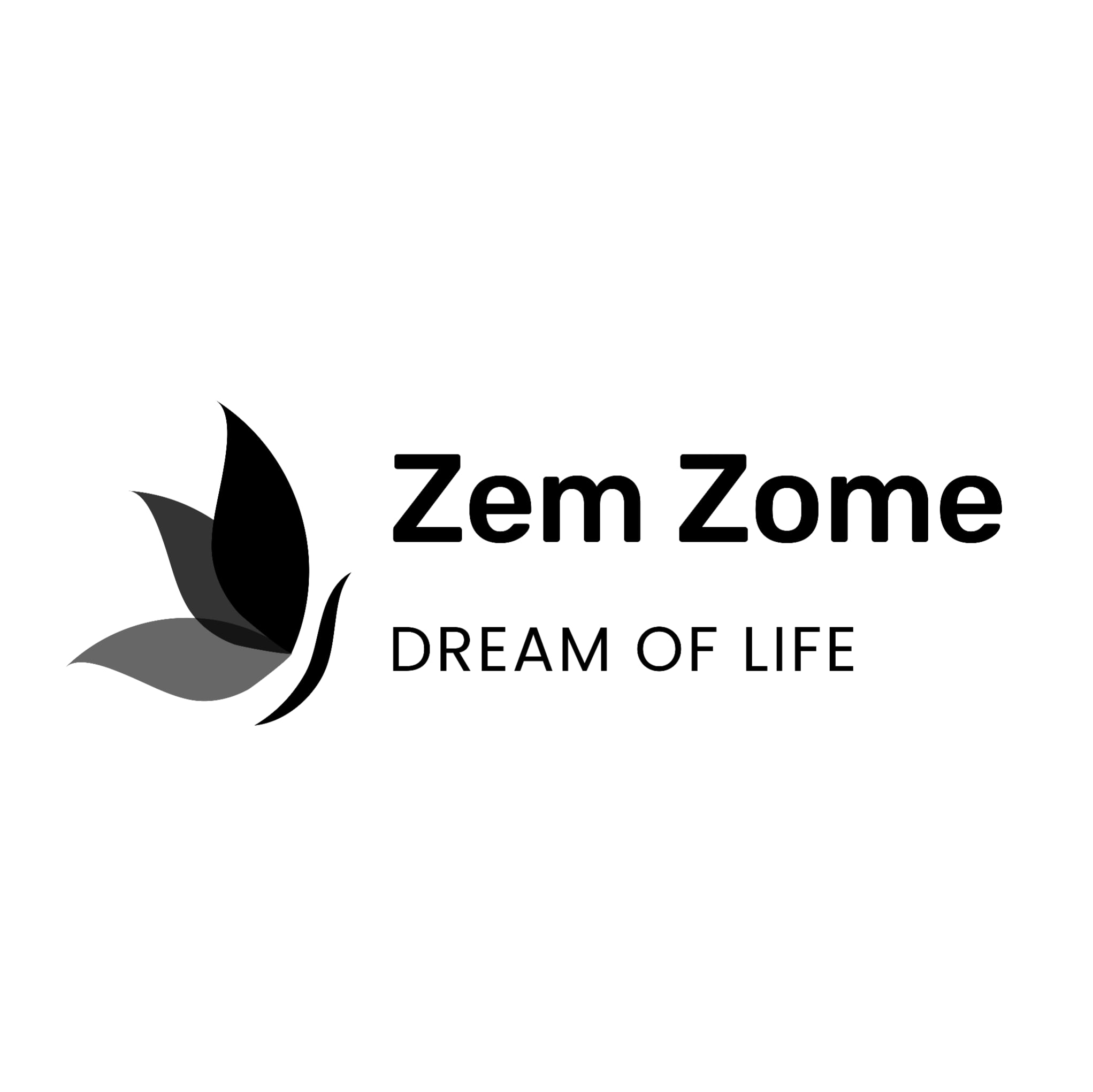 zemzome logo