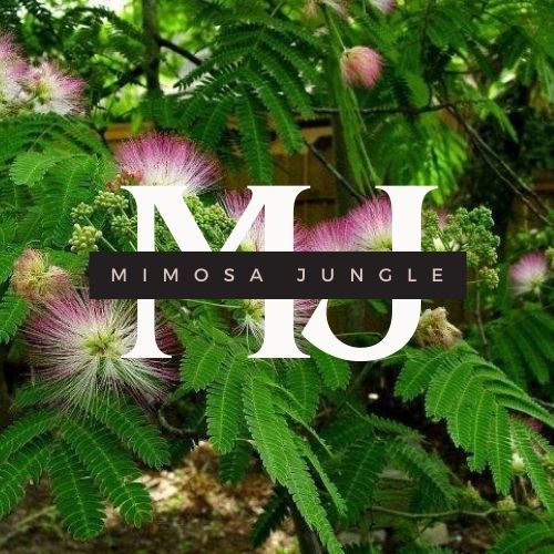 Mimosa Jungle logo