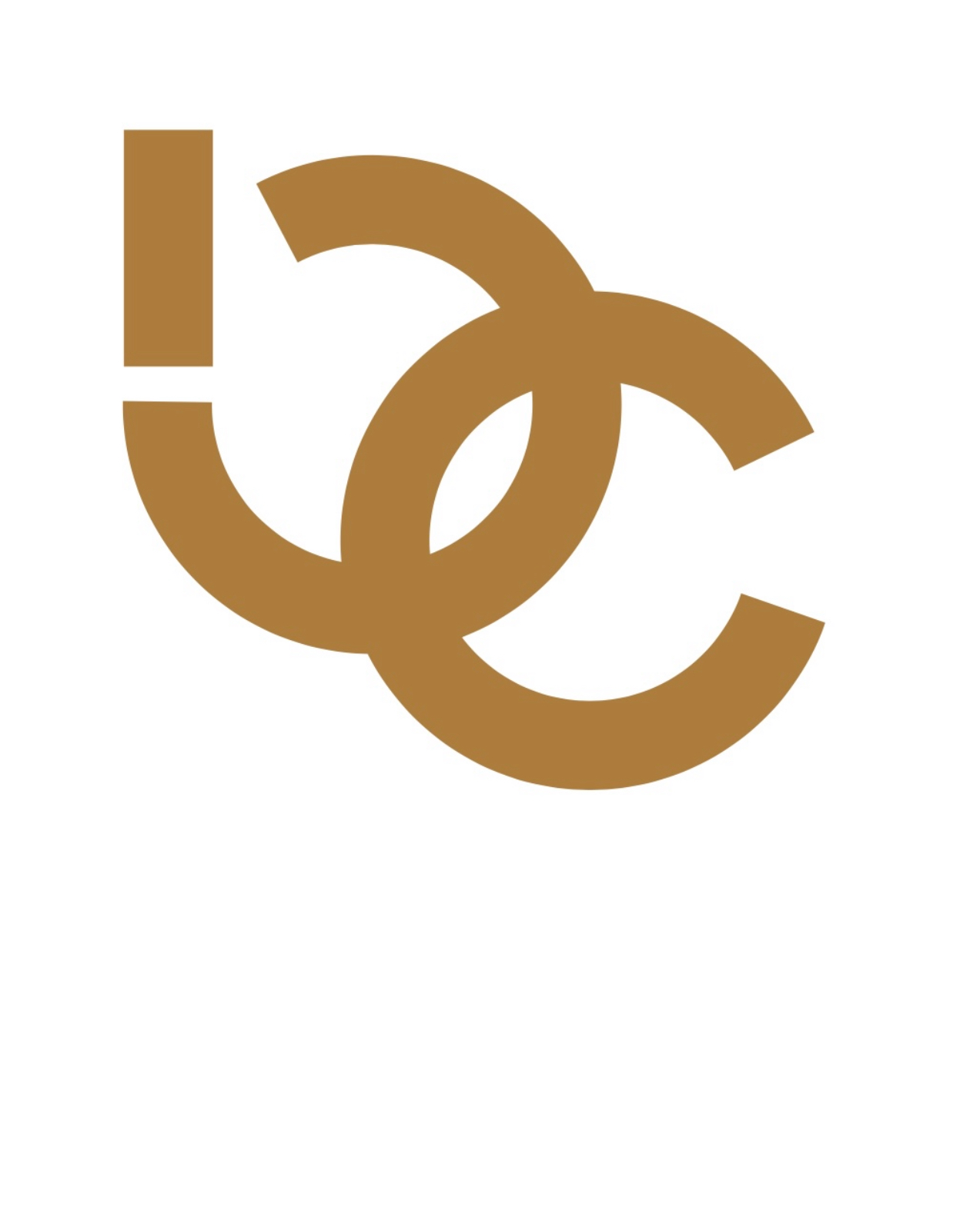 Burn Chic logo