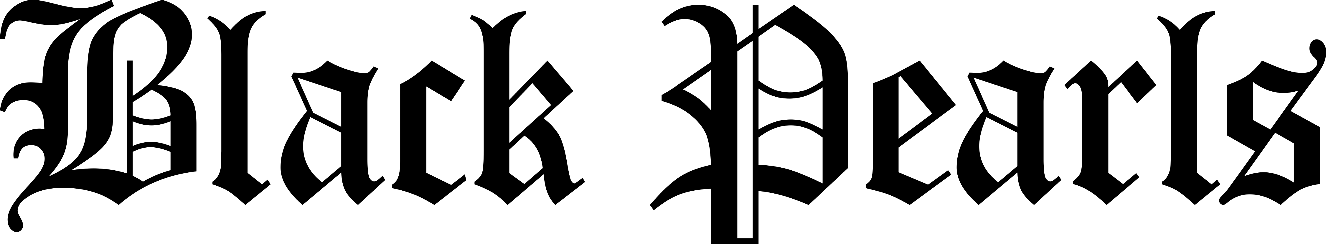 Black Pearls SE logo