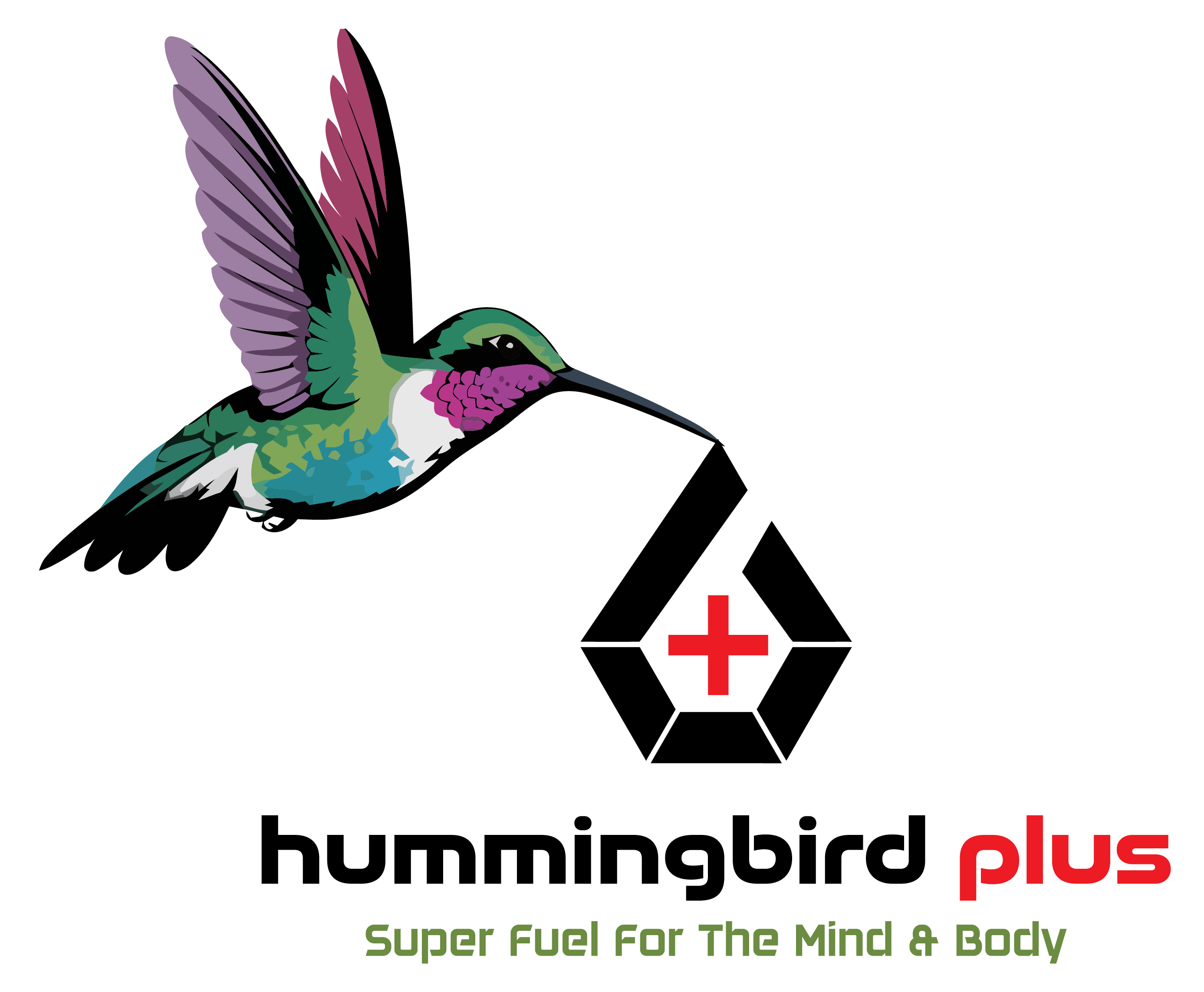 Hummingbird Plus logo