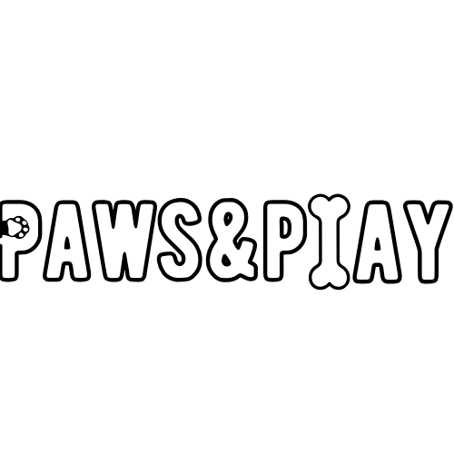 Paws&Play logo