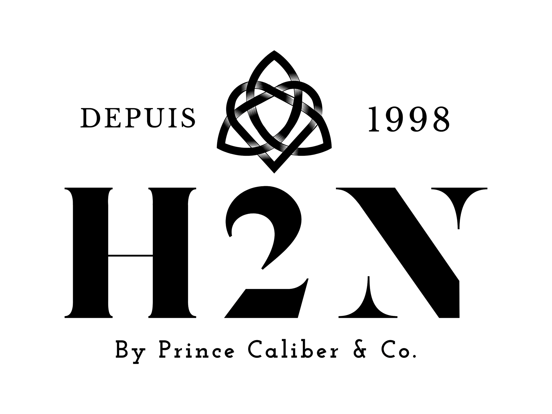 H2N Boutique logo