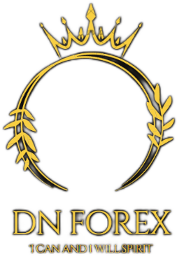 DN Forex logo