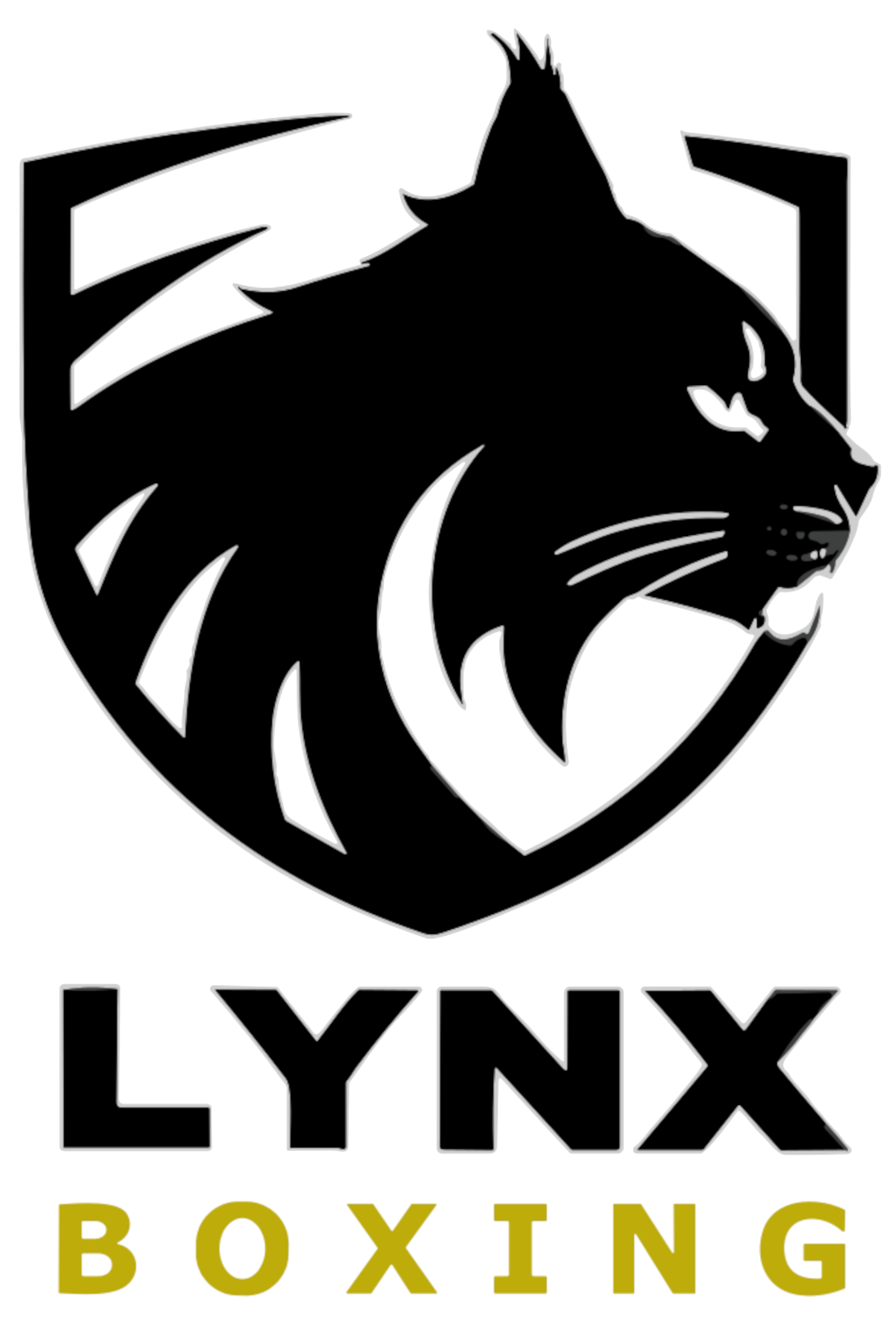 LYNX Boxing logo
