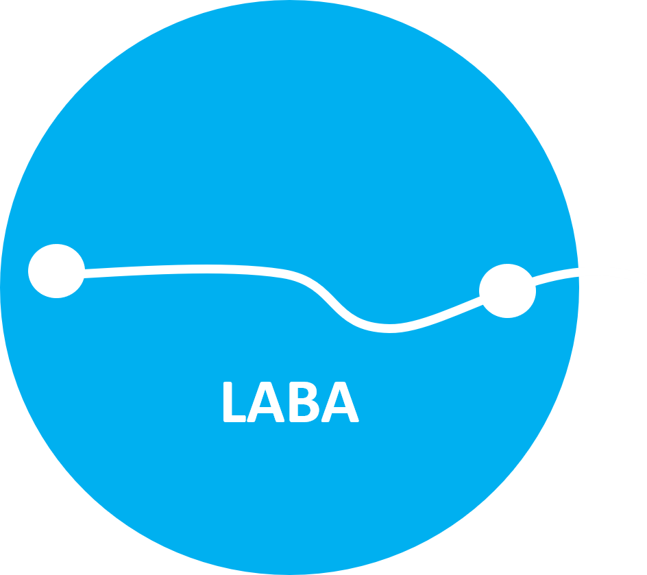 https://labaapp.fr Coupons and Promo Code