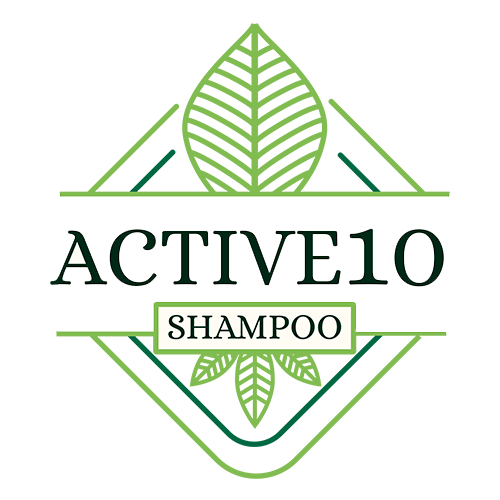 active10.online logo