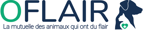 https://www.oflairmutuelle.fr/ Coupons and Promo Code