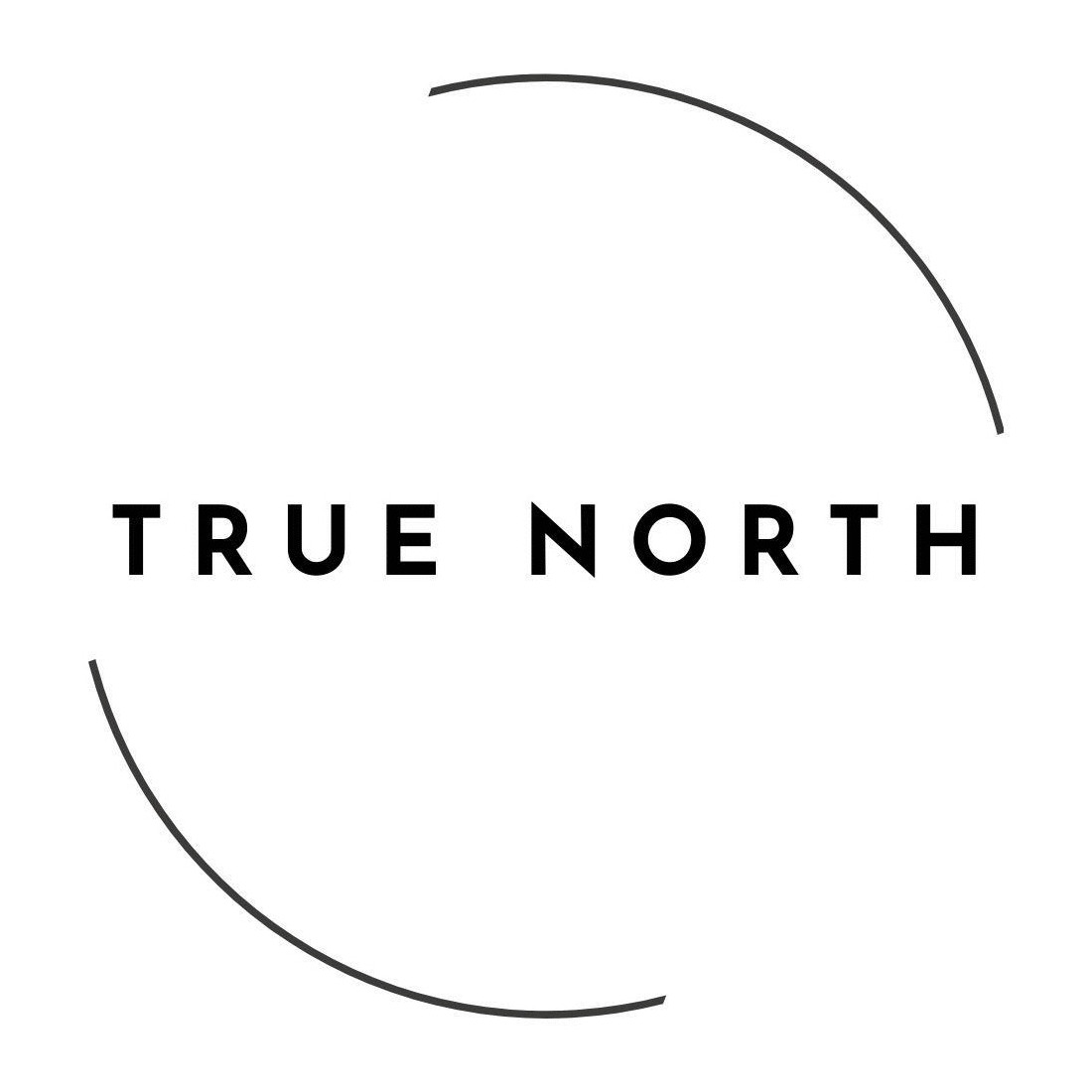 True North logo