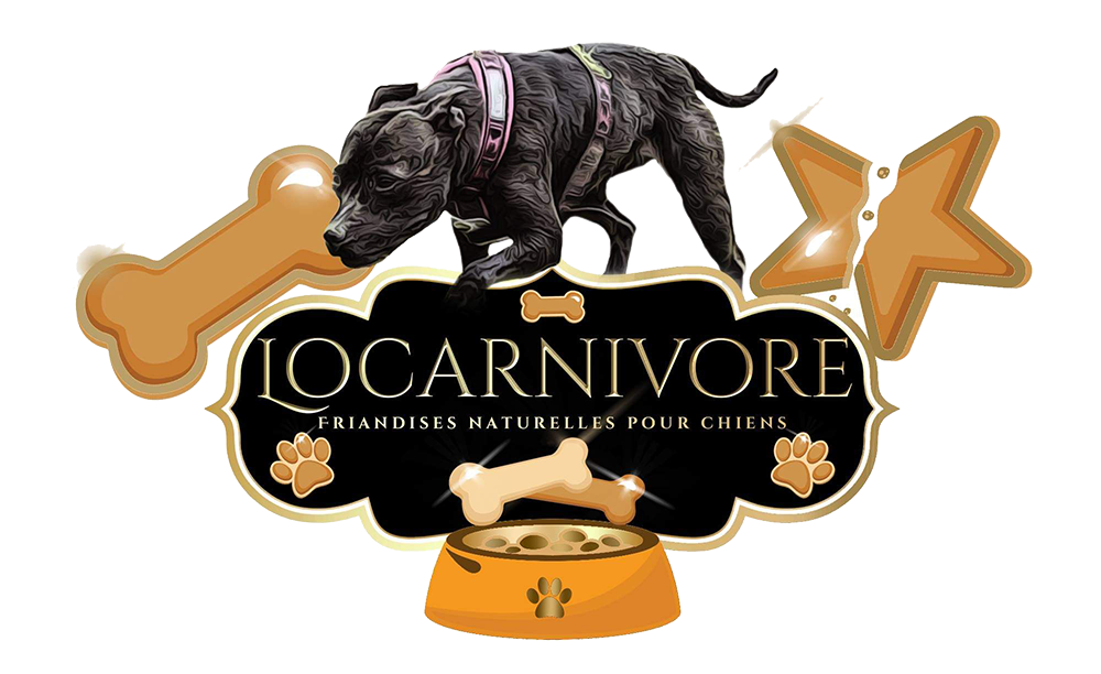 locarnivore.com logo
