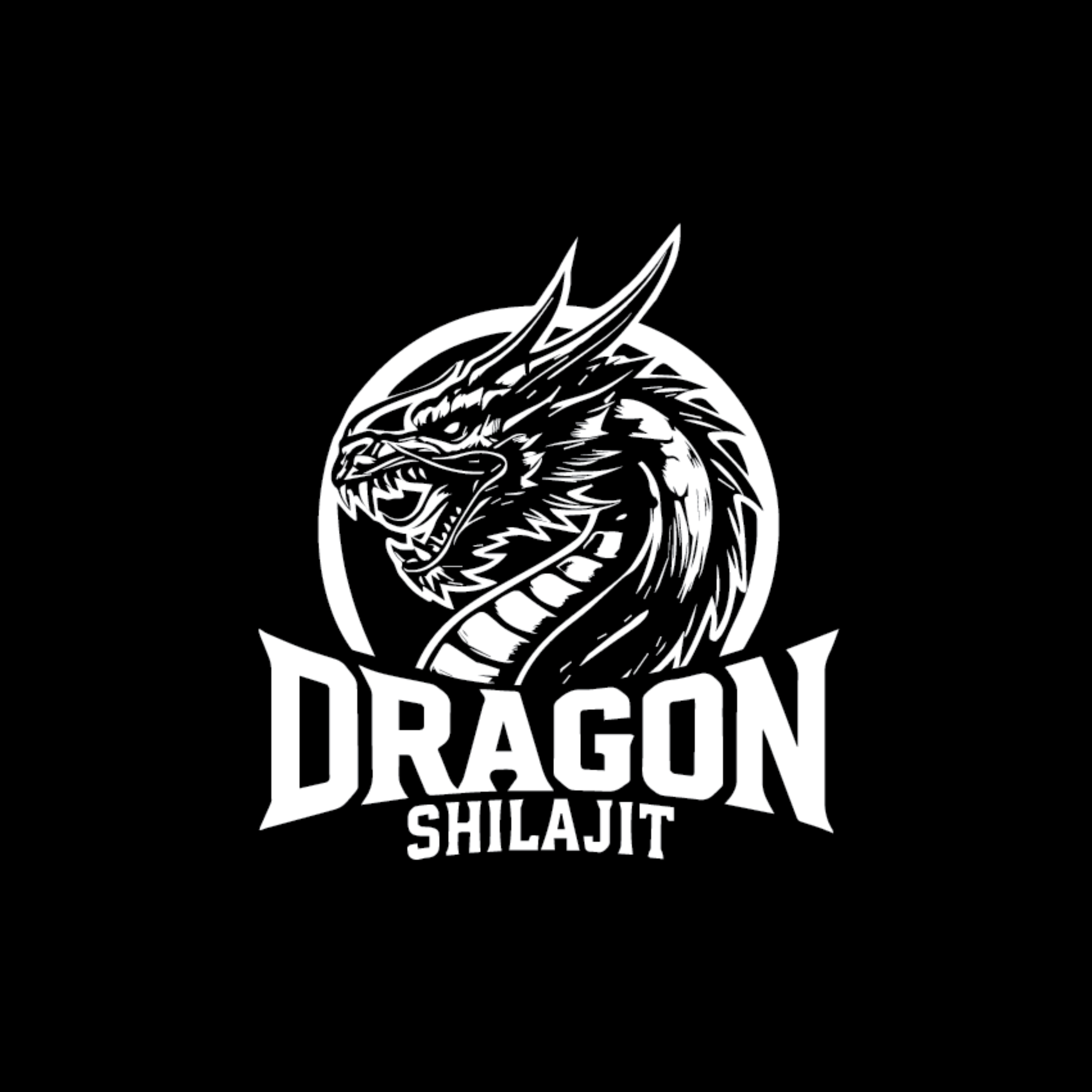Dragon Shilajit logo