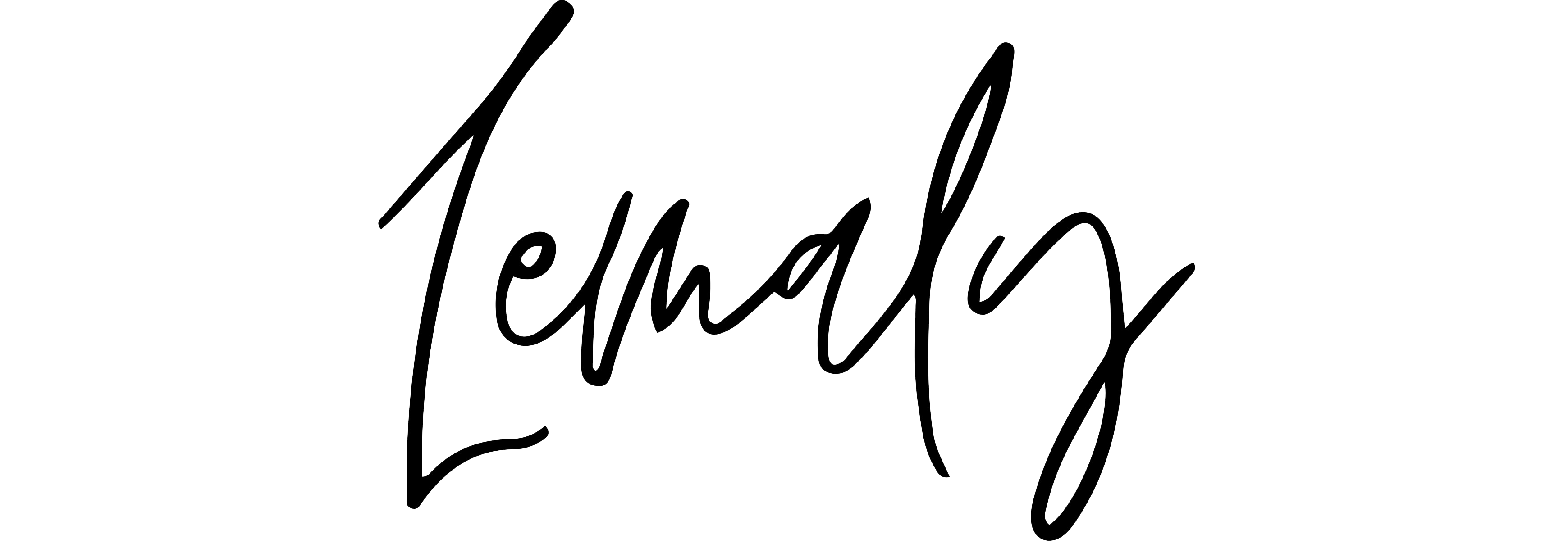 Lemaly salon de beaute logo