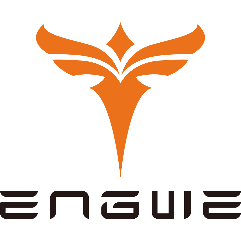 ENGWE FR logo