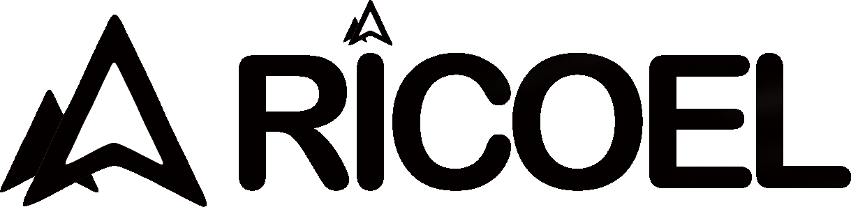 Ricoel Store logo