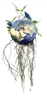 WE Network logo
