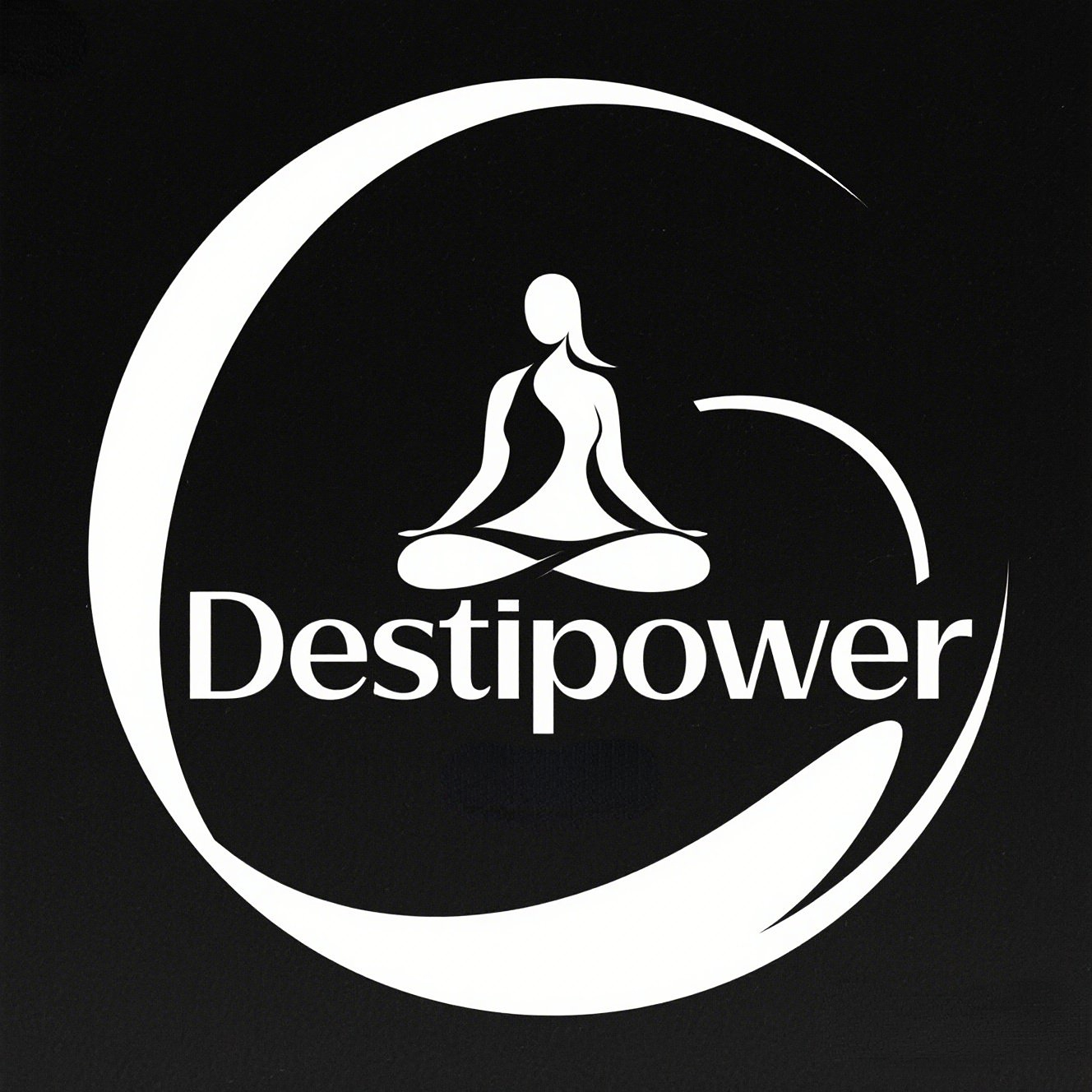 https://destipower.com logo