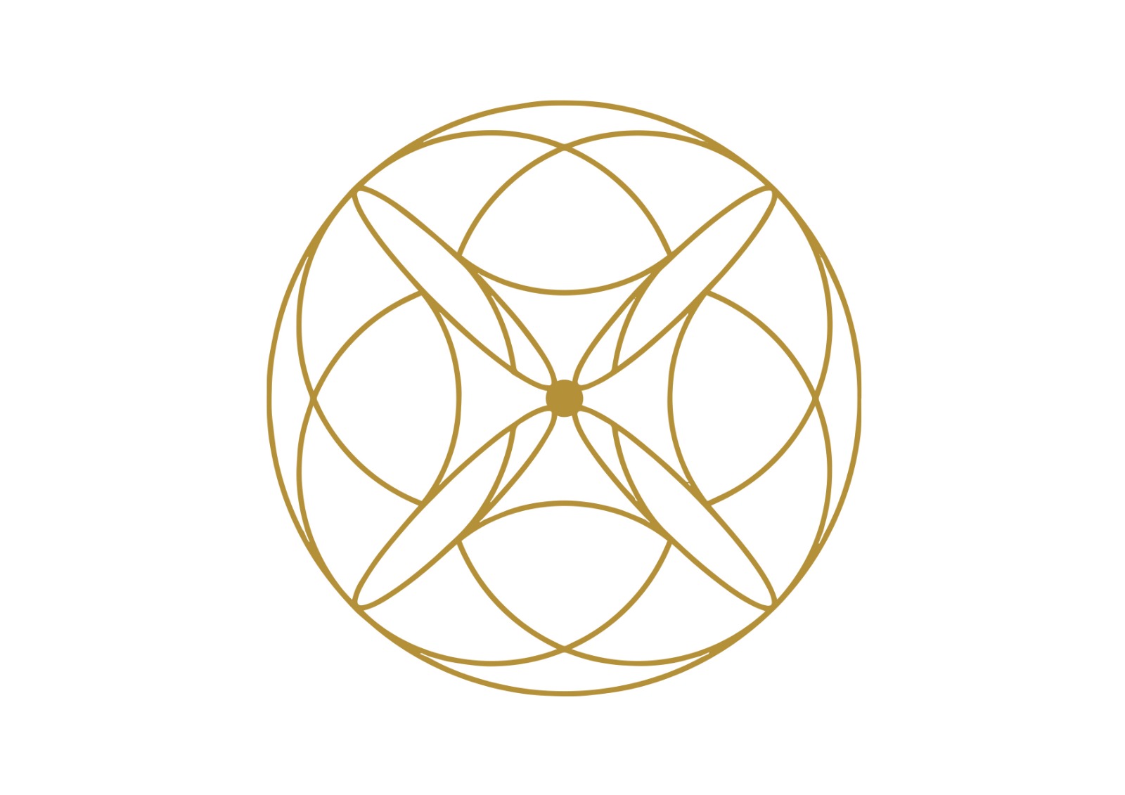 AnaGennisi Academy logo