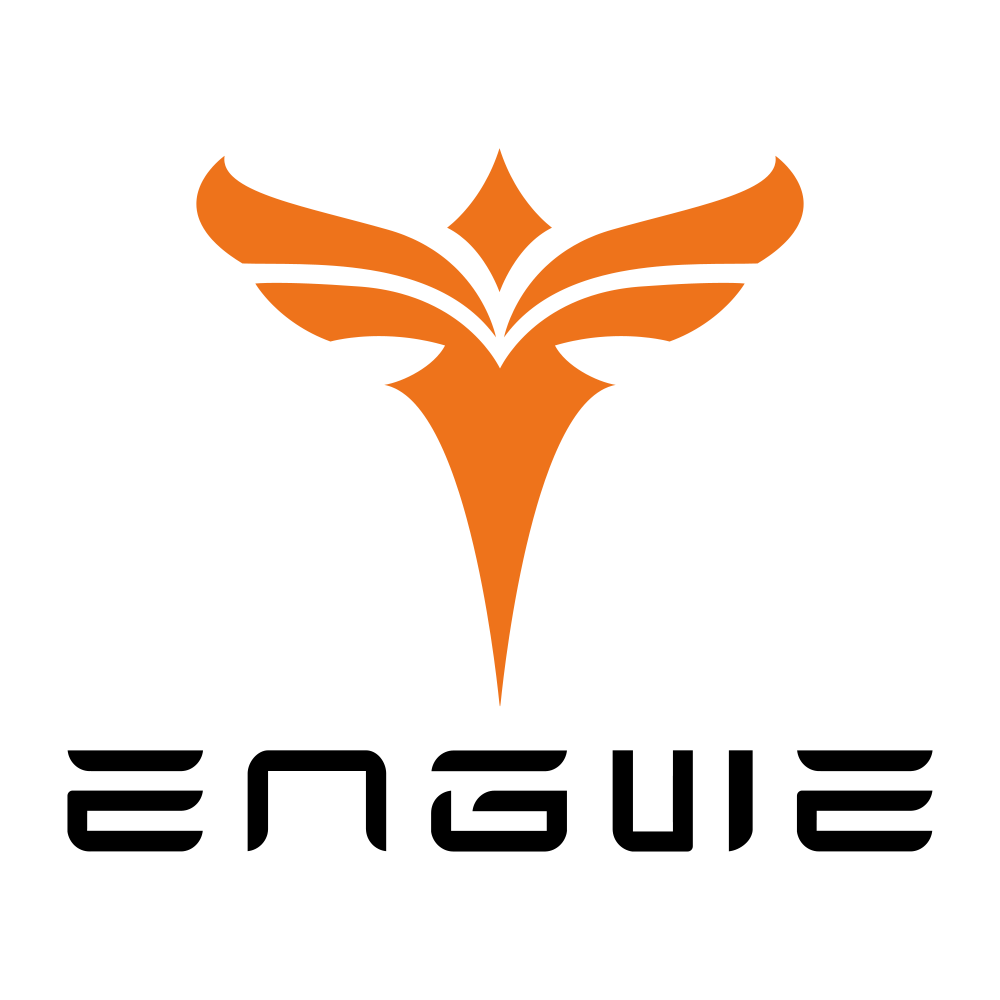 ENGWE SE logo
