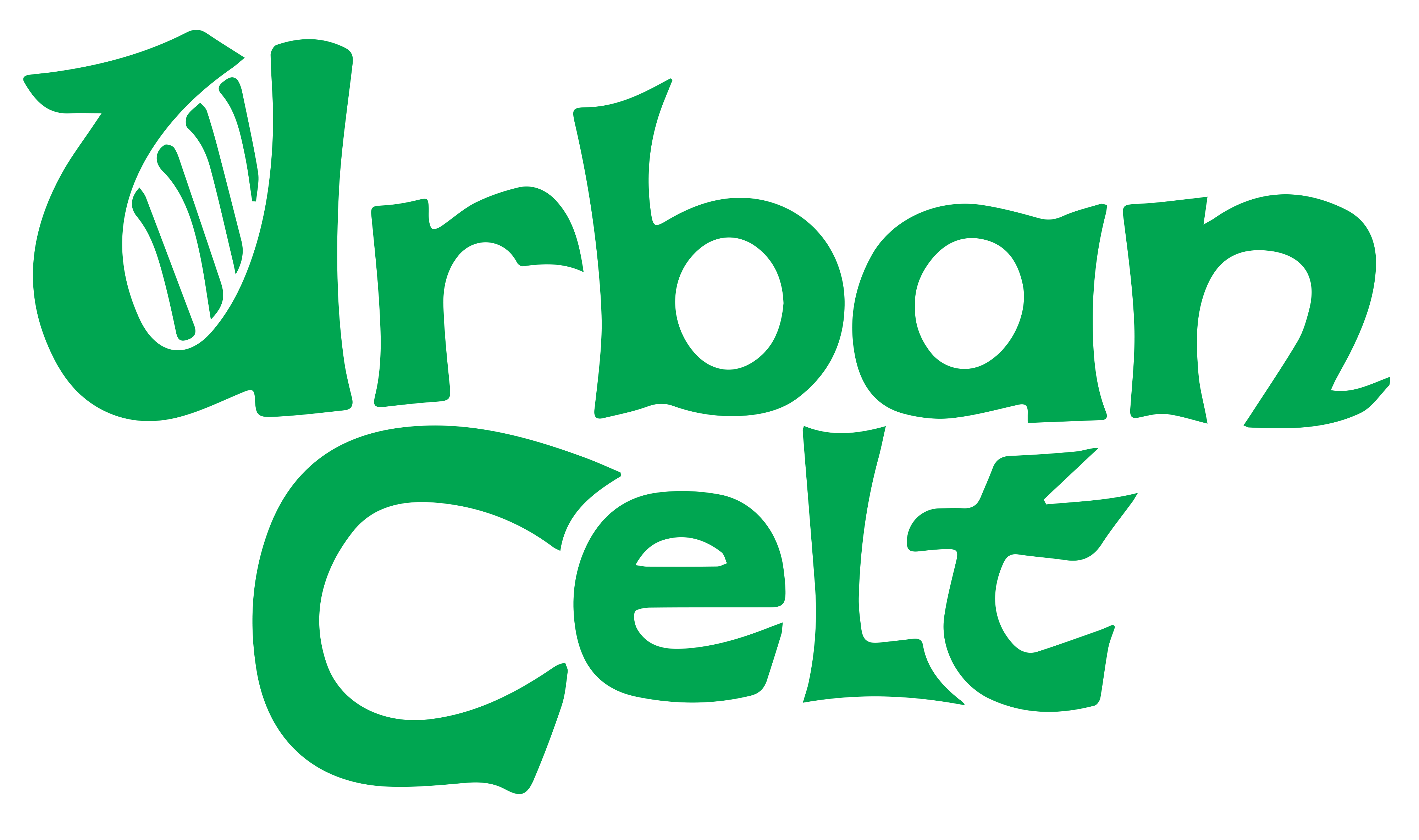 Urban Celt logo