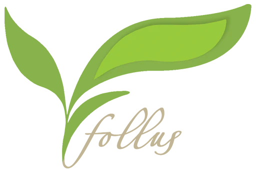 follus.com Coupons and Promo Code