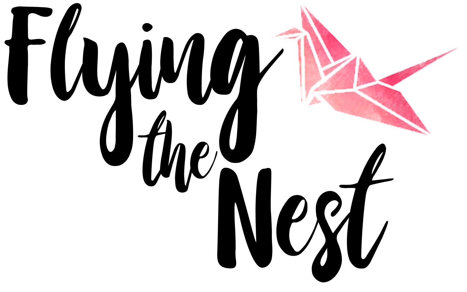 Flying the Nest Shop